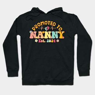 Promoted To Nanny 2024 First Time New Nanny Pregnancy Hoodie